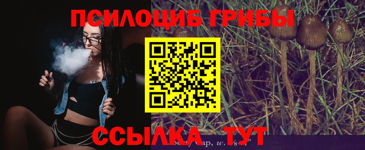 Псилоцибиновые грибы Psilocybe  закладки  Старая Купавна  Вход с VPN 